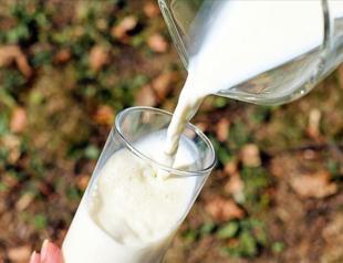 Milk products output increases in 2021