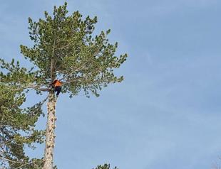 Workers make living 40 meters high up