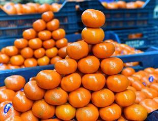 Fruit, vegetable exports hit $1.94 billion