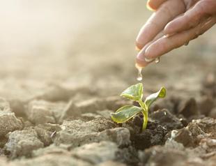 Turkey’s climate law to be prepared swiftly, says minister