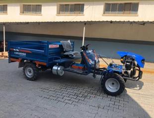 Use of horse-drawn carriages to be prevented with project