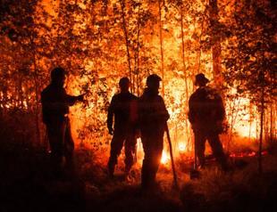 UN: Wildfires getting worse globally, governments unprepared