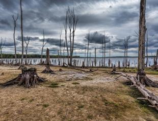 Climate change brings extreme, early impact to South America