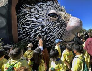 Quills and thrills as prodigious porcupine puppet unveiled