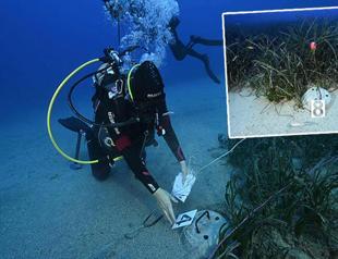 Work to protect Gökova Gulf’s seagrass begins