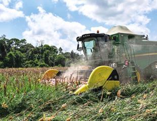 Agriculture giant Brazil nervously eyes Ukraine