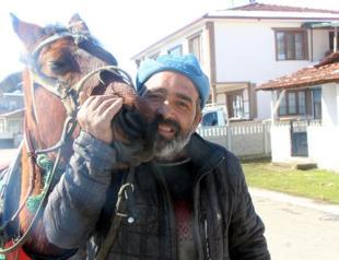 In Istanbul's Princes' Islands, over 500 carriage horses die in a year due  to abuse, heat, overloaded carriages and exhaustion – Straight from the  Horse's Heart