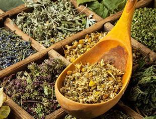 Pandemic boosts medicinal, aromatic plant trade