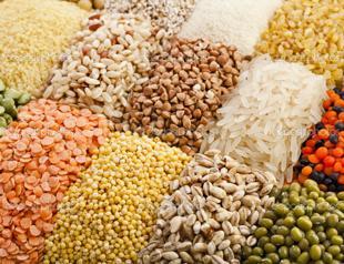 Russia limits exports of grains to ex-Soviet republics