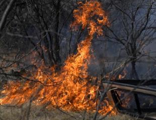 Firefighters gain ground on Texas wildfires on Mar. 19