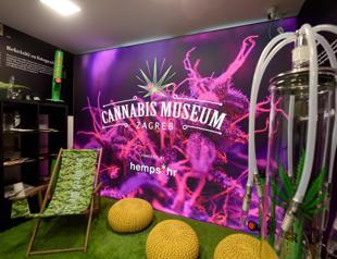 ’Things you never learn in school’: Croatia’s cannabis museum