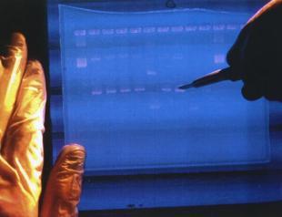 Scientists finally finish decoding entire human genome