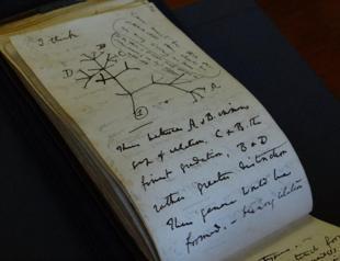 Darwin notebooks return to UK library