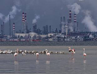 VR exhibition at Museum Gazhane