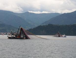 Seawater temperature in Black Sea rising