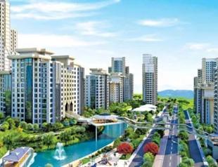 Government mulls changes to citizenship-for-home program