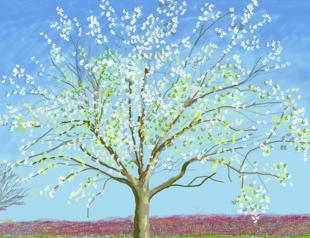 Sabancı Museum brings David Hockney exhibition