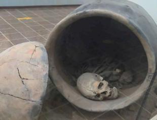 Ancient baby burial draws interest at museum