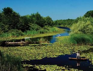 Sakarya to attract tourists with ‘green tourism’: Mayor