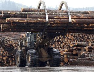 10 football pitches of pristine rainforest lost per minute