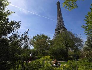 Parisians up in arms over plan to fell trees near Eiffel Tower