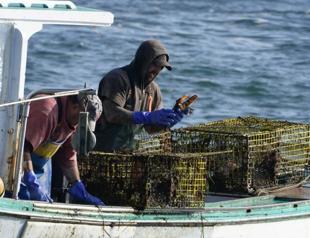 Maine fishermen set record for value in 2021
