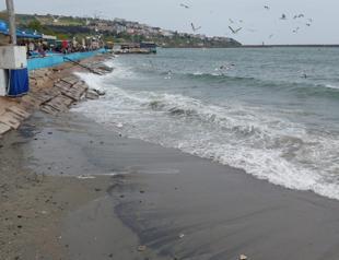 More needs to be done to save Marmara Sea, says expert