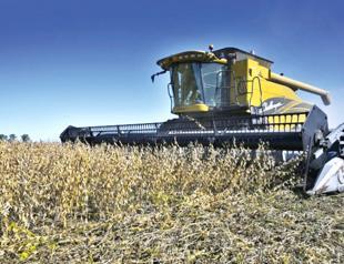 Soy boon for Argentina as Ukraine war boosts prices