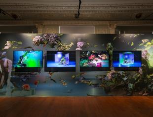 Exhibition focuses on nature