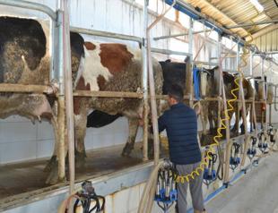 Turkey’s butter production increases