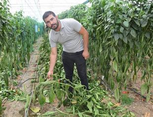 Farmers in Antalya see revival in demand from Russia