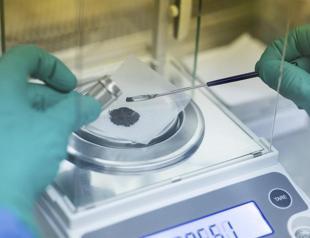 Scientists successfully grow plants in soil from the Moon