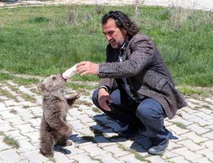 Orphan bear cub not to be released into nature
