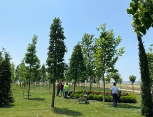 First saplings in ‘Turkey’s biggest national park’ planted with official ceremony