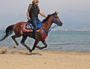 Man rides horse to work