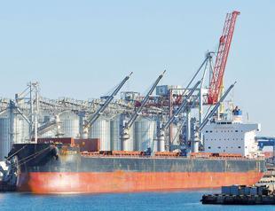 Ukraine says grain coming to Somalia, but Russia skeptical