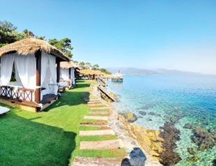 Online reservation fraud costs tourism industry millions