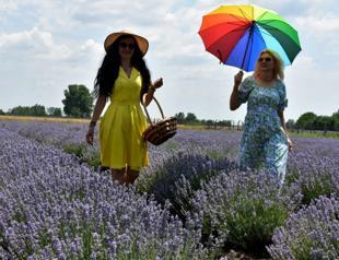 Hotels in Edirne full for lavender fest