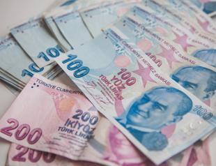 Short-term external debt rises