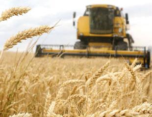 Ankara intensifies diplomatic efforts to extend grain deal