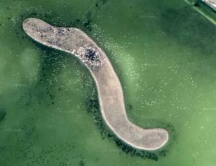Flamingos in Gediz Delta tracked via Google Earth