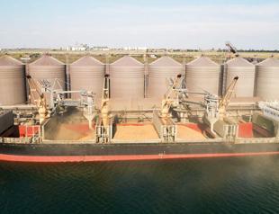 Turkish Grain Board stocks 6 million tons of grain