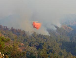 Marmaris wildfires, ‘probably by sabotage, largely under control’