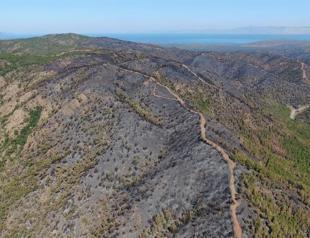 Marmaris wildfire completely under control: Minister