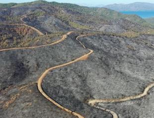 Some 4,500 hectares of land burned in Marmaris wildfires
