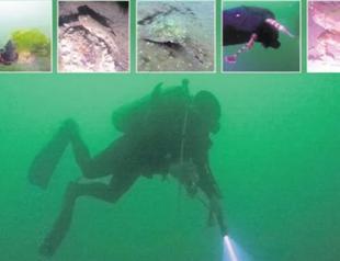 Benthos return to Marmara Sea