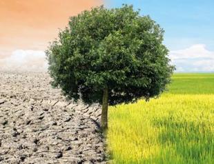 Türkiye prepares roadmap to fight climate change