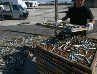 US to work with Taiwan, Vietnam against illegal fishing