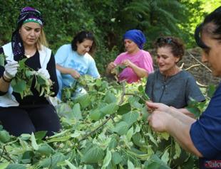 Women’s cooperative to export 2 tons of linden