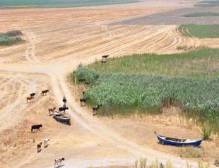 Land conflicts arise as Lake Marmara dries up